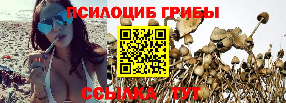 Урус-Мартан  Галлюциногенные грибы ЛСД  Вход с VPN  Псилоцибиновые грибы мухоморы 